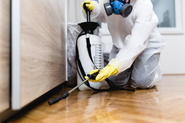 Best Insect Control  in Mount Kisco, NY