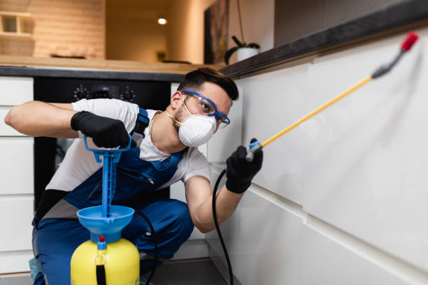  Mount Kisco, NY Pest Control Pros