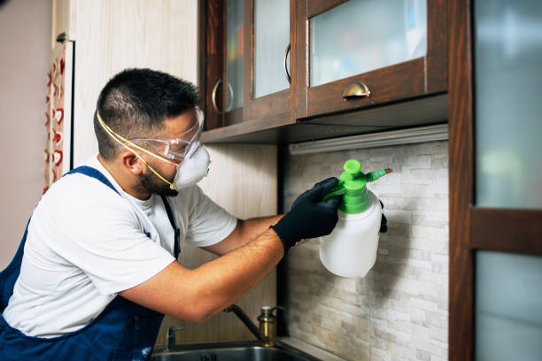Professional Pest Control in Mount Kisco, NY