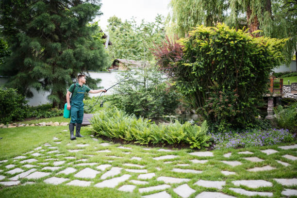 Best Rodent Control Near Me  in Mount Kisco, NY
