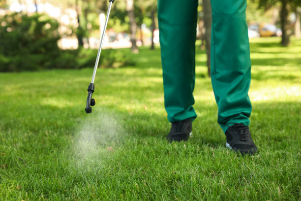 Best Mosquito Control Services  in Mount Kisco, NY