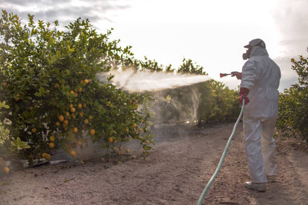Best Cockroach Control Services  in Mount Kisco, NY