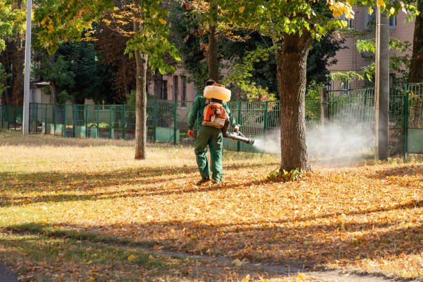 Best Rat Extermination Near Me  in Mount Kisco, NY