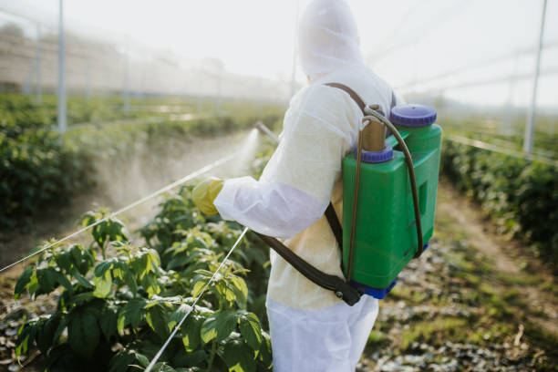 Best Affordable Pest Control Services  in Mount Kisco, NY